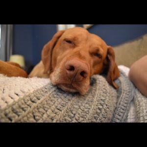 Meet your Posher, Jocelyn